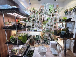 株式会社植物L∀ND