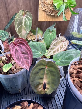 ≪社会保険完備・自社スクールあり・産休育休取得率100%・交通費全額支給・カウンセリング重視サロン≫「いい感じなサロン」からスタッフの求人☆☆